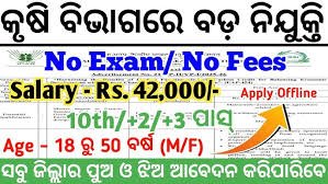 Odisha Agriculture Office New Recruitment 2025 – Notification Out for Various Posts | Salary Upto ₹39,000 Per Month