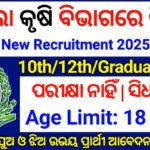 Odisha Farmer Accountant Jobs Recruitment 2025 – Apply 12th Pass