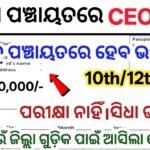 Panchayat Level CEO Recruitment 2025 | Apply Online for Various Posts | 10th, 12th, Graduate Eligible